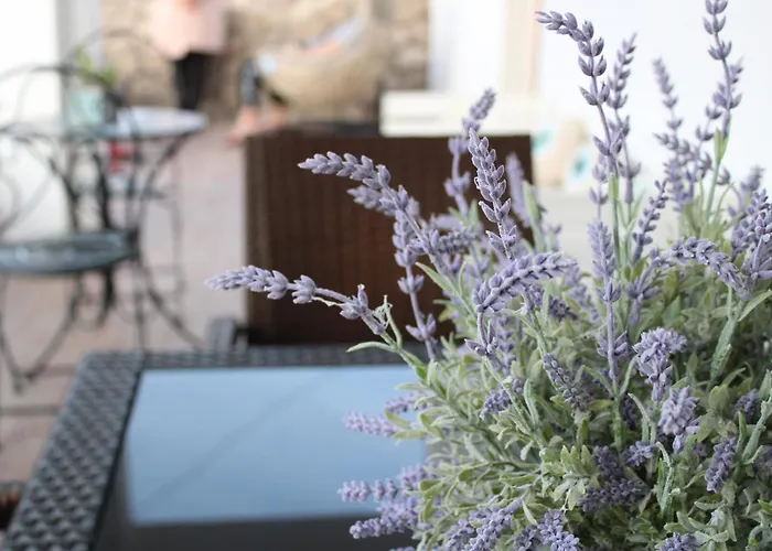 公寓 Sunκissed Home - Pollonia Milos *