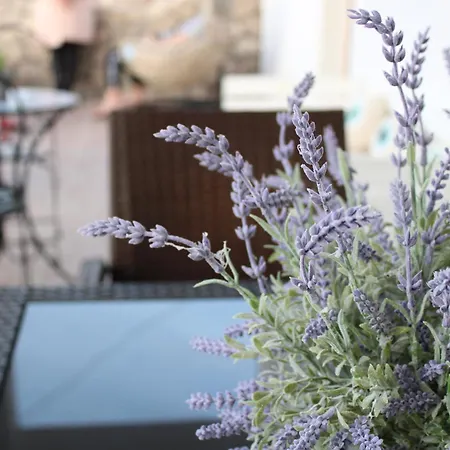 Appartement Dreamcatcher Milos *